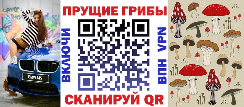 Галлюциногенные грибы GOLDEN TEACHER  Камбарка 